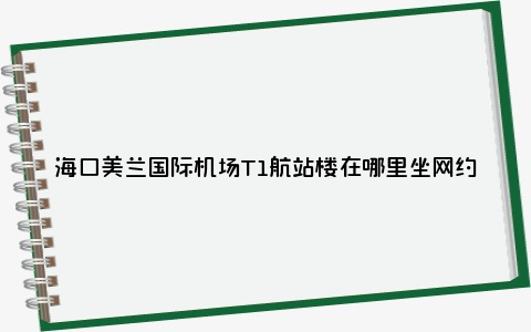 海口美兰国际机场T1航站楼在哪里坐网约车（地点+指南）