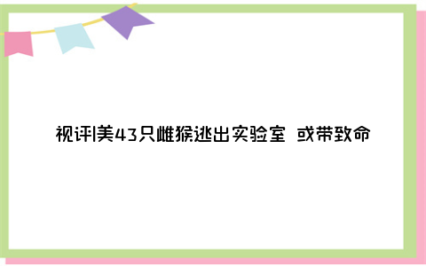 视评|美43只雌猴逃出实验室 或带致命病毒这是为什么？