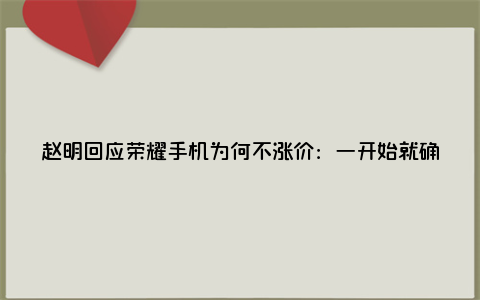 赵明回应荣耀手机为何不涨价：一开始就确定不涨 消费者压力比我们还要大