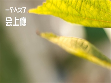 “谁手上有黄柠檬 谁就有巨额资产”
