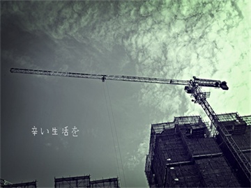 以外长称愿与黎叙关系正常化
